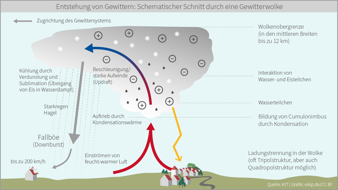 Schematischer Schnitt durch eine Gewitterwolke