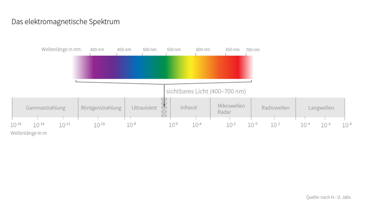 Elektromagnetisches Spektrum, sichtbar für den Menschen.