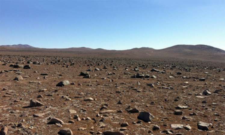 Dry and Cold: The Search for Life on Mars