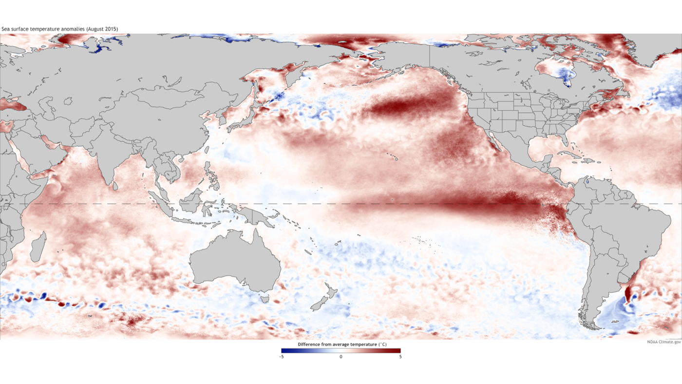 Weltkarte: Darstellung der Abweichungen von der durchschnittlichen Wassertemperatur