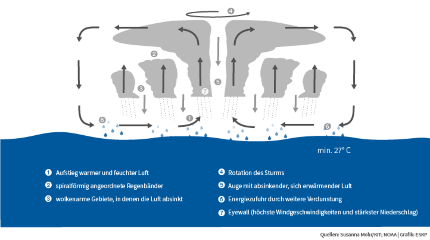 Querschnitt durch einen tropischen Wirbelsturm. 