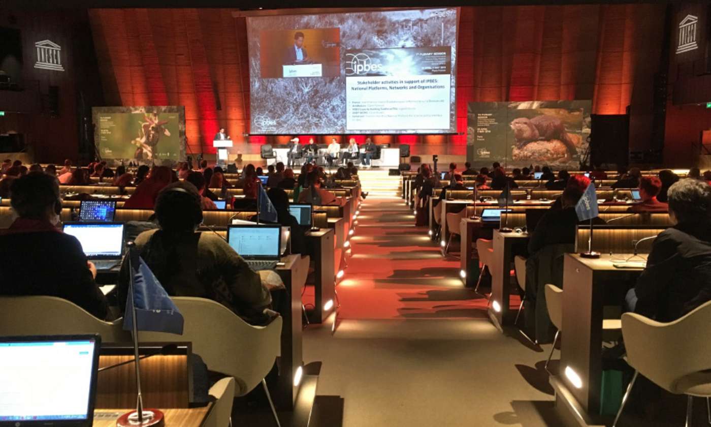 Konferenzraum mit Leinwand