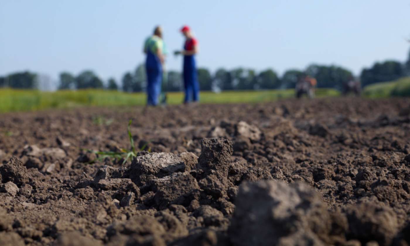 Die Landwirtschaft mietet sich ein, zu Lasten der Verpächter - ESKP