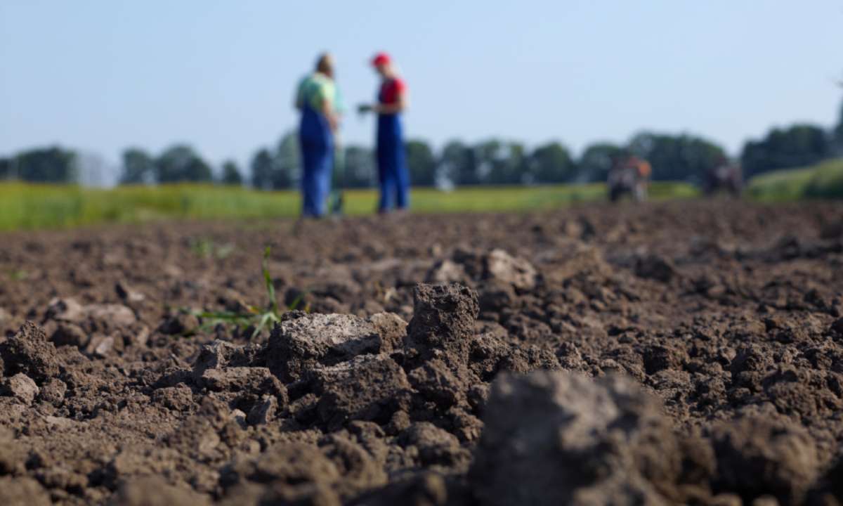 Die Landwirtschaft mietet sich ein, zu Lasten der Verpächter - ESKP