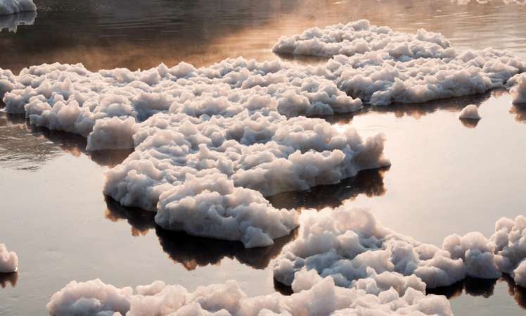 Tenside finden in einer breiten Palette von Produkten Anwendung Schaum auf Wasser