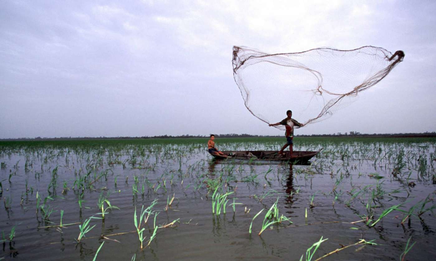 Mann auf Boot wirft Fischernetz aus