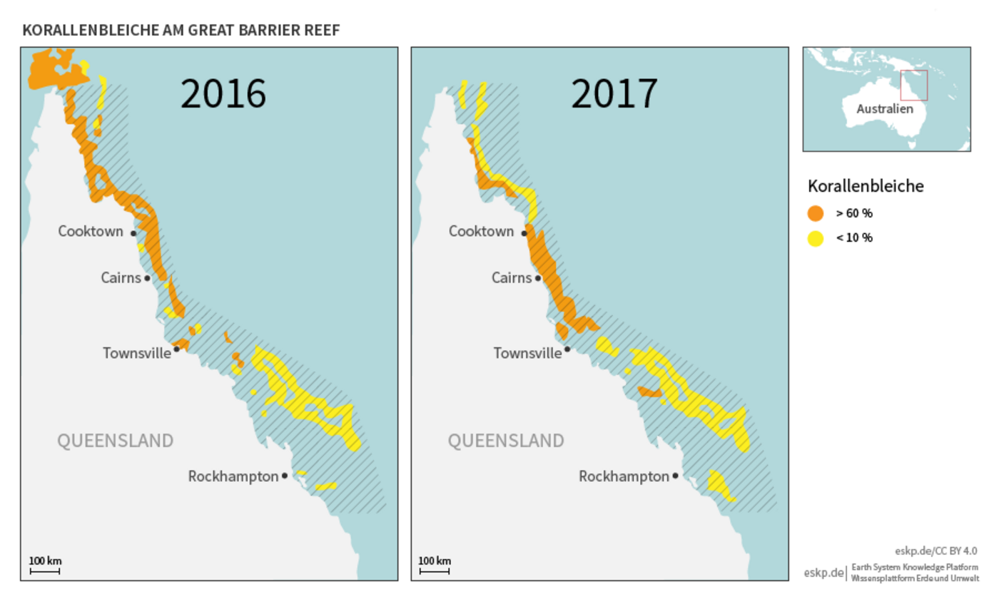 Korallenbleiche Vor Australien Eskp
