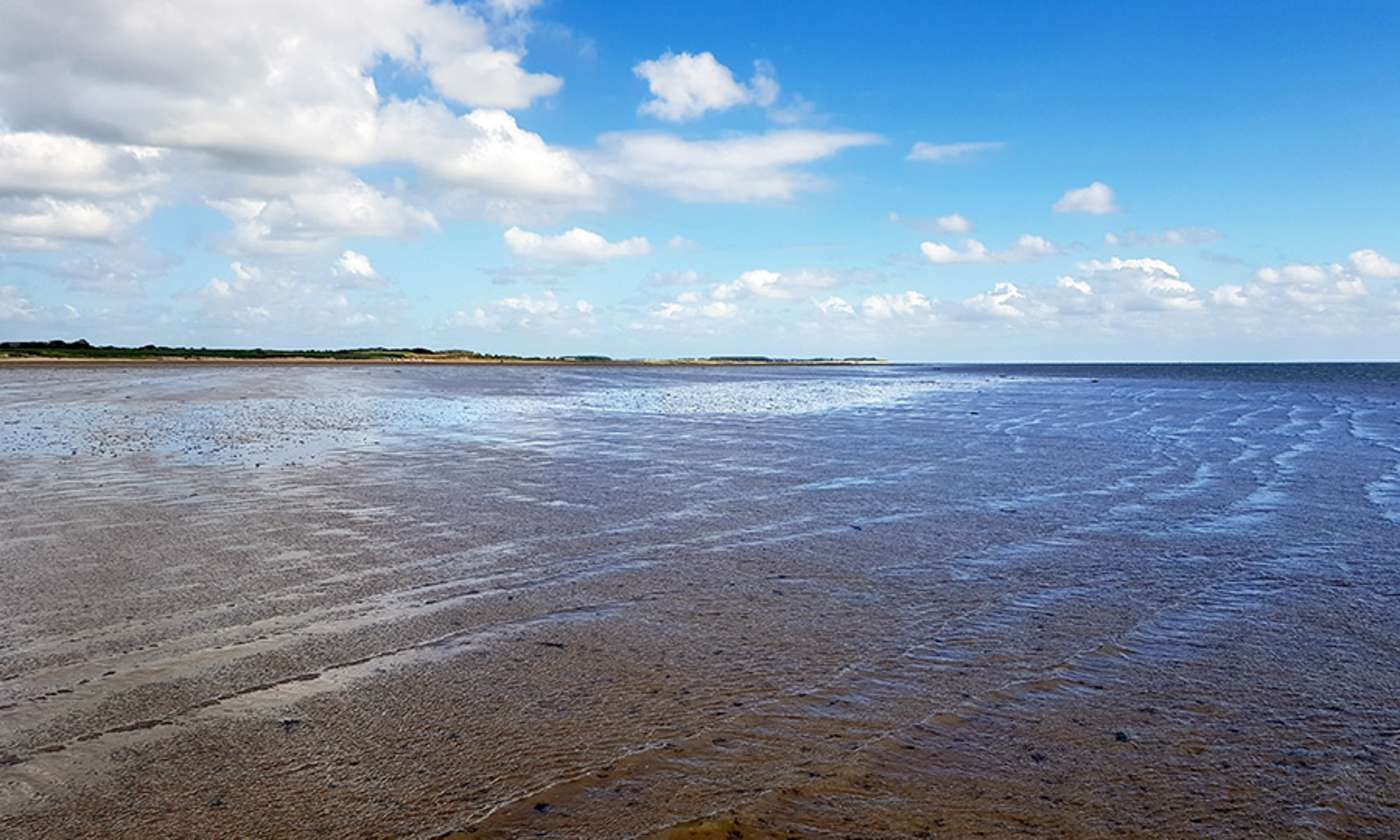 Blick auf Watt bei Ebbe