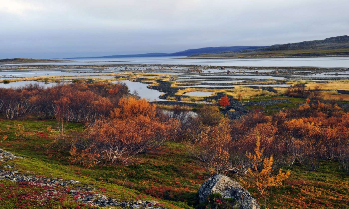 Blick über Seenlandschaft