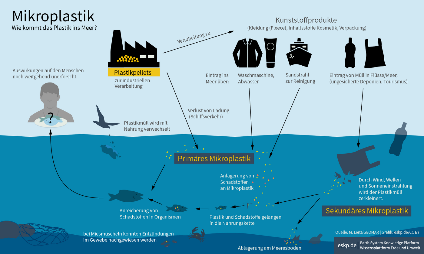 Infografik Mikroplastik
