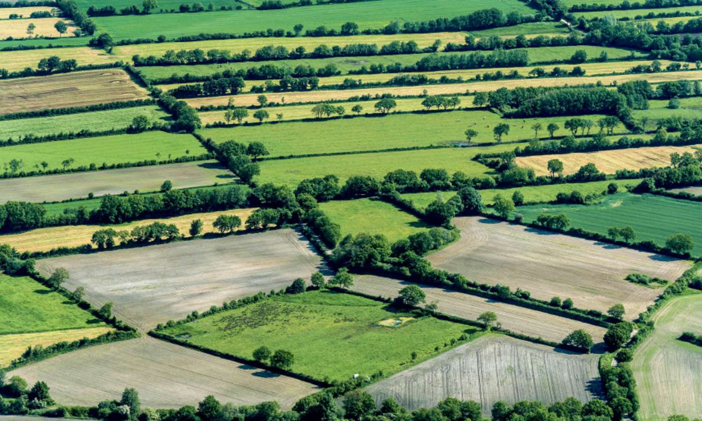 Luftaufnahme Heckenlandschaft