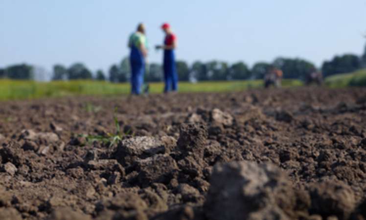 Die Landwirtschaft mietet sich ein, zu Lasten der Verpächter