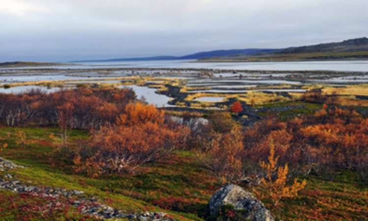 Permafrost erwärmt sich mit alarmierender Geschwindigkeit