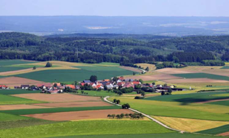 Perfluorierte Chemikalien bauen sich in der Natur nicht ab