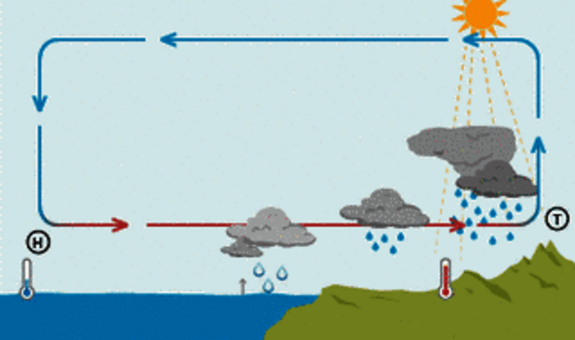 Infografiken zu den Themen El Nino und Monsun