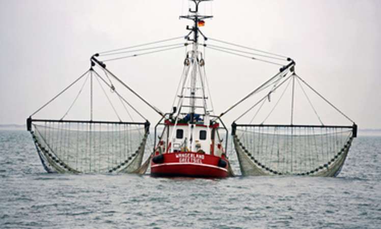 Risiken und Chancen für lokale Akteure der Nordsee