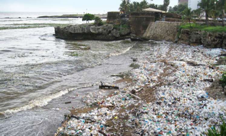 Jede Menge Müll im Meer