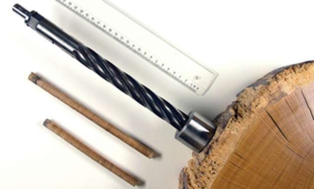 Messmethodik: Vulkanausbrüche in Baumringen nachweisbar