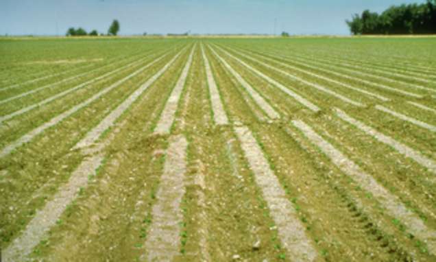 Wie entstehen Erdbeben?