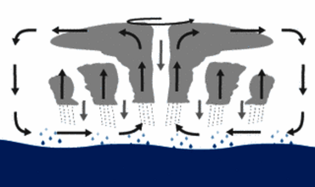 Infographics on tropical hurricanes