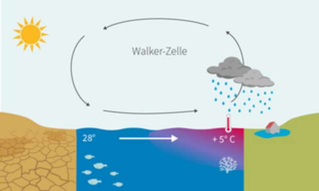 Auswirkungen des El Niño-Phänomens